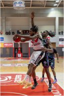 basket 7